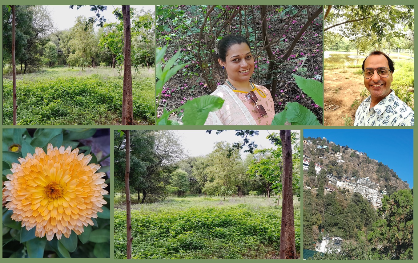 Gallary pic colllage 4 Yogatva Wellness