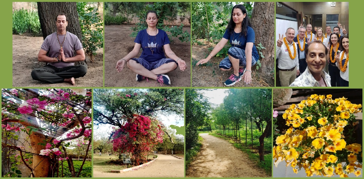 Gallery pic colllage 3 Yogatva Wellness